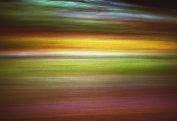 Autio & Parke Exhibit &lsquo;To The Sea&rsquo;